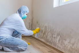 Best Emergency Mold Remediation  in Ferndale, CA